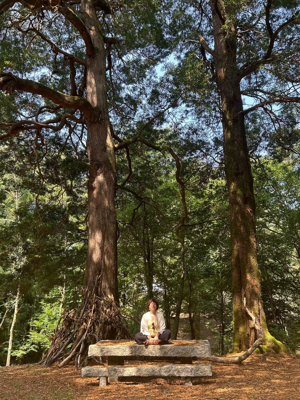 Vanesa meditando en un bosque de Pontevedra